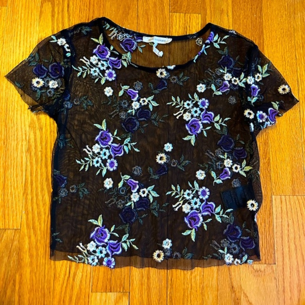 Urban Outfitters Y2K Sheer Floral Crop Top